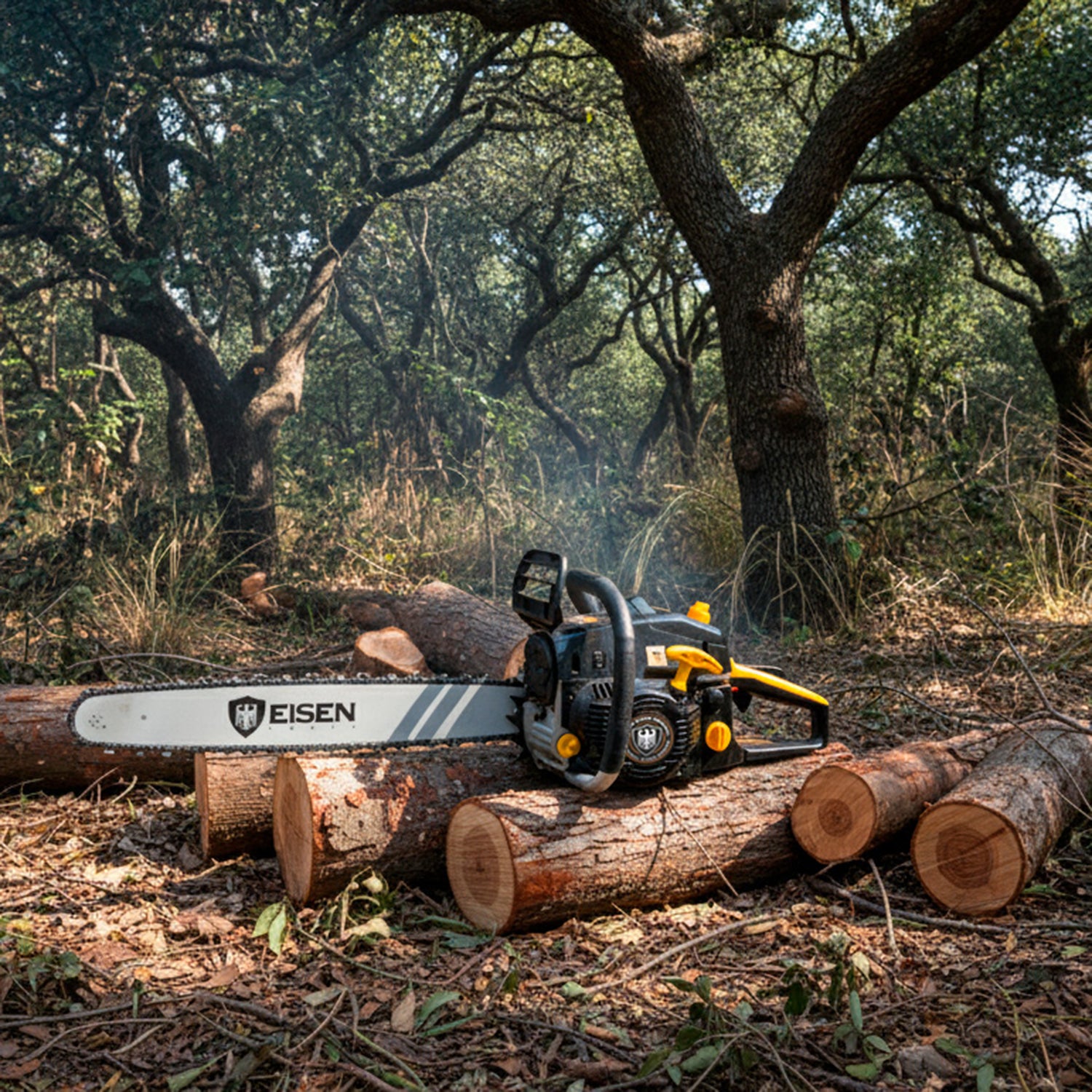 Kit Motosierra 62cc 18'', 20'', 22'' | Eisen – Comercial Chilesale